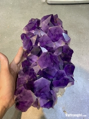 Mầm tinh thể thạch anh tím vip 36cm