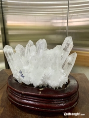 Mầm tinh thể thạch anh trắng 18cm