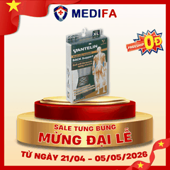 Đai Bảo Vệ Lưng VANTELIN Back Support - Size XL