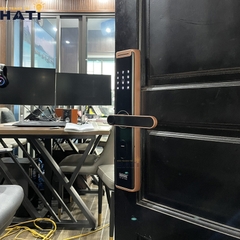 Khóa vân tay cửa gỗ Giovani GSL-A3RG