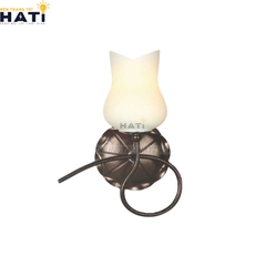Đèn tường thuỷ tinh chao bông hoa màu trắng - HTV 8802N/1A