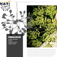 Đèn thả decor Hera 63 lá thân vàng chao đục