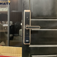 Khóa vân tay cửa gỗ Giovani GSL-A3RG