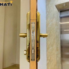 Khóa vân tay cửa gỗ Giovani GSL-C138FG màu vàng