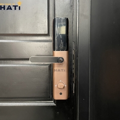 Khóa vân tay cửa gỗ Giovani GSL-A3RG