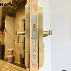 Khóa vân tay cửa gỗ Giovani GSL-118C87GG màu vàng