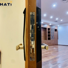 Khóa vân tay cửa gỗ Giovani GSL-F66 màu đen
