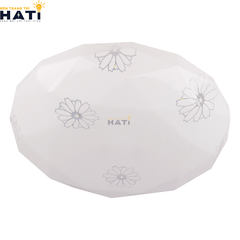Đèn ốp trần ban công, hành lang Roteya