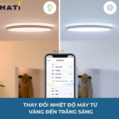 Đèn ốp trần thông minh Wiz