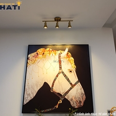 Đèn rọi gương Miralu 3 bóng