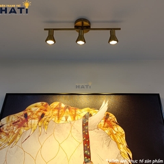 Đèn rọi gương Miralu 3 bóng