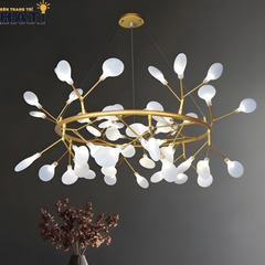 Đèn thả decor Tuall thiết kế thanh lịch hiện đại, tạo điểm nhấn chiếu sáng tinh tế phù hợp lắp đặt cho chung cư và nhà phố.