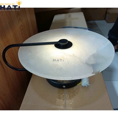 den-tuong-Bush-hati-7