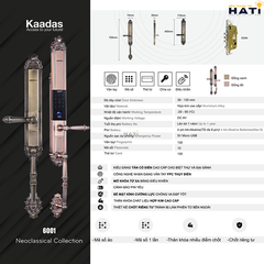 Khóa vân tay cổ điển Kaadas 6001