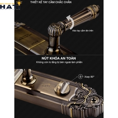 Khóa vân tay cổ điển Kaadas 6001