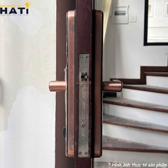 Khóa vân tay cửa gỗ Avolock AV 65