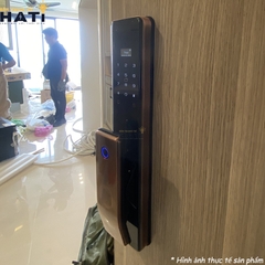 Khoá vân tay cửa gỗ Demax SL828