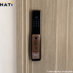 Khoá vân tay cửa gỗ Demax SL828