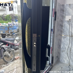 Khoá vân tay cửa nhôm Demax EL902