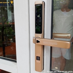 Khóa vân tay cửa nhôm Kassler KL-599 LX Champagne