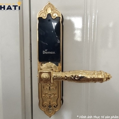 Khoá vân tay đại sảnh Demax EL280