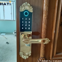 Khoá vân tay đại sảnh Demax EL280 BRASS 24K