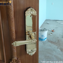 Khoá vân tay đại sảnh Demax EL280 BRASS 24K