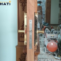 Khoá vân tay đại sảnh Demax EL280 BRASS 24K