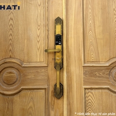 Khoa-van-tay-dai- sanh-demax-el819
