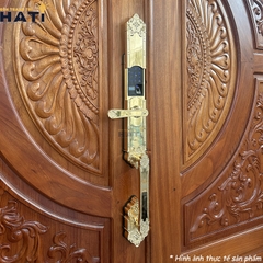 Khoa-van-tay-dai- sanh-demax-el819