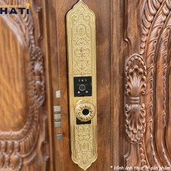 Khoa-van-tay-dai-sanh-demax-el9382