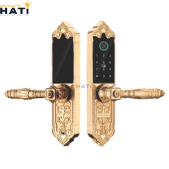 Khóa vân tay đại sảnh Kassler KL-919 APP