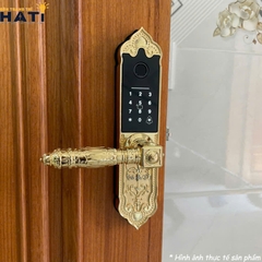 Khóa vân tay đại sảnh Kassler KL-919 APP
