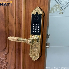 Khóa vân tay đại sảnh Kassler KL-919 APP