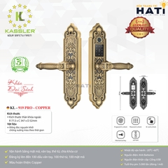 Khóa vân tay đại sảnh Kassler KL-919 PRO - COPPER
