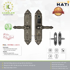 Khóa vân tay đại sảnh Kassler KL-919 PRO - GREEN
