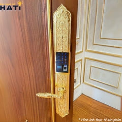 Khóa vân tay đại sảnh Kassler KL-929