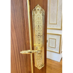 Khóa vân tay đại sảnh Kassler KL-929