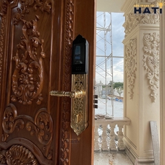 Khóa vân tay đại sảnh Kassler KL-939F
