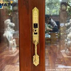 Khóa vân tay đại sảnh Kassler KL-939F