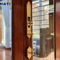 Khóa vân tay đại sảnh Kassler KL-939F