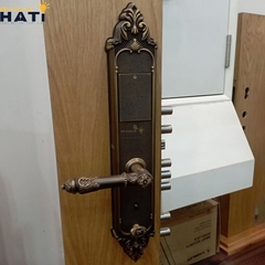 Khóa vân tay đại sảnh Kassler KL-969 GR
