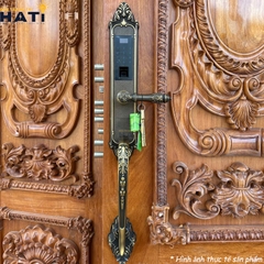 Khóa vân tay đại sảnh Kassler KL-969 GR