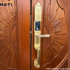 Khóa vân tay đại sảnh Kassler KL-979G