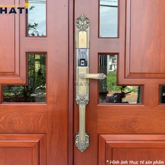 Khóa vân tay đại sảnh Kassler KL-979 GR