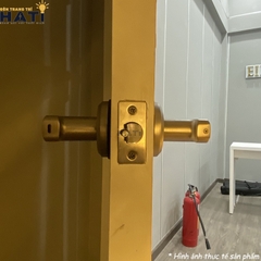 khoa-van-tay-demax-sl-108-1