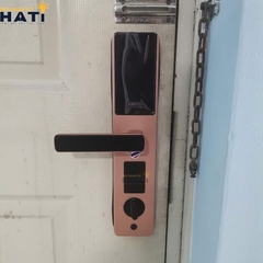 Khóa vân tay Hubert cửa gỗ CG75