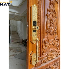 Khóa vân tay Hubert đại sảnh DS79F GOLD