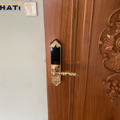 Khóa vân tay Hubert đại sảnh DS79 GOLD MINI