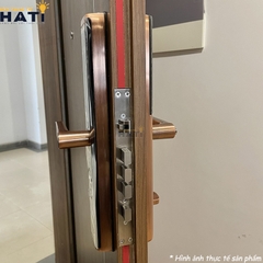 Khóa vân tay cửa gỗ Giovani GSL-A3BK